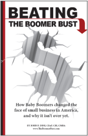 Beating the Boomer Bust eBook by John F. Dini